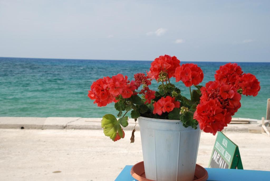 Socrates Apartmens & Restaurant Milatos Bagian luar foto